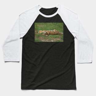 Tiger Cub Baseball T-Shirt